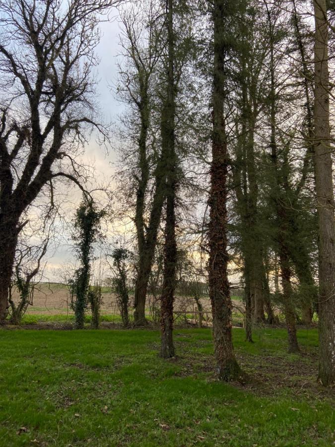 Kildare Countryside Pods Villa Bagian luar foto