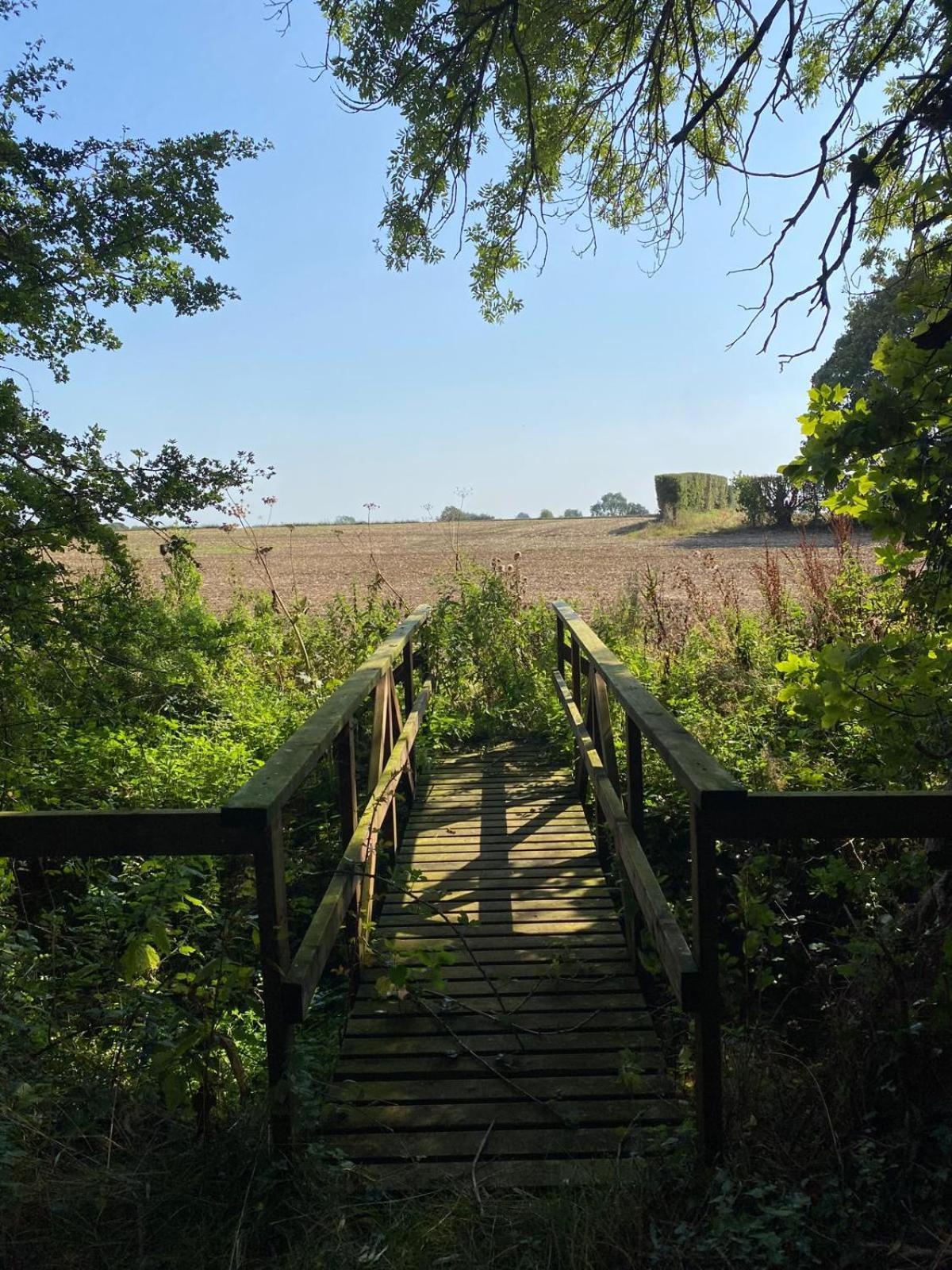 Kildare Countryside Pods Villa Bagian luar foto