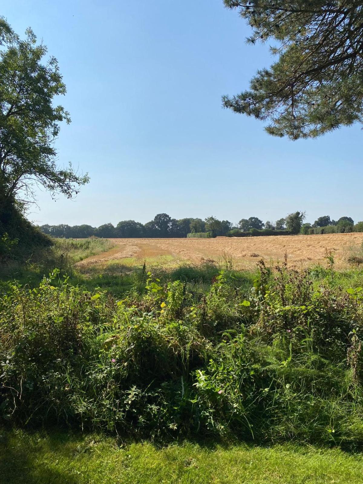 Kildare Countryside Pods Villa Bagian luar foto