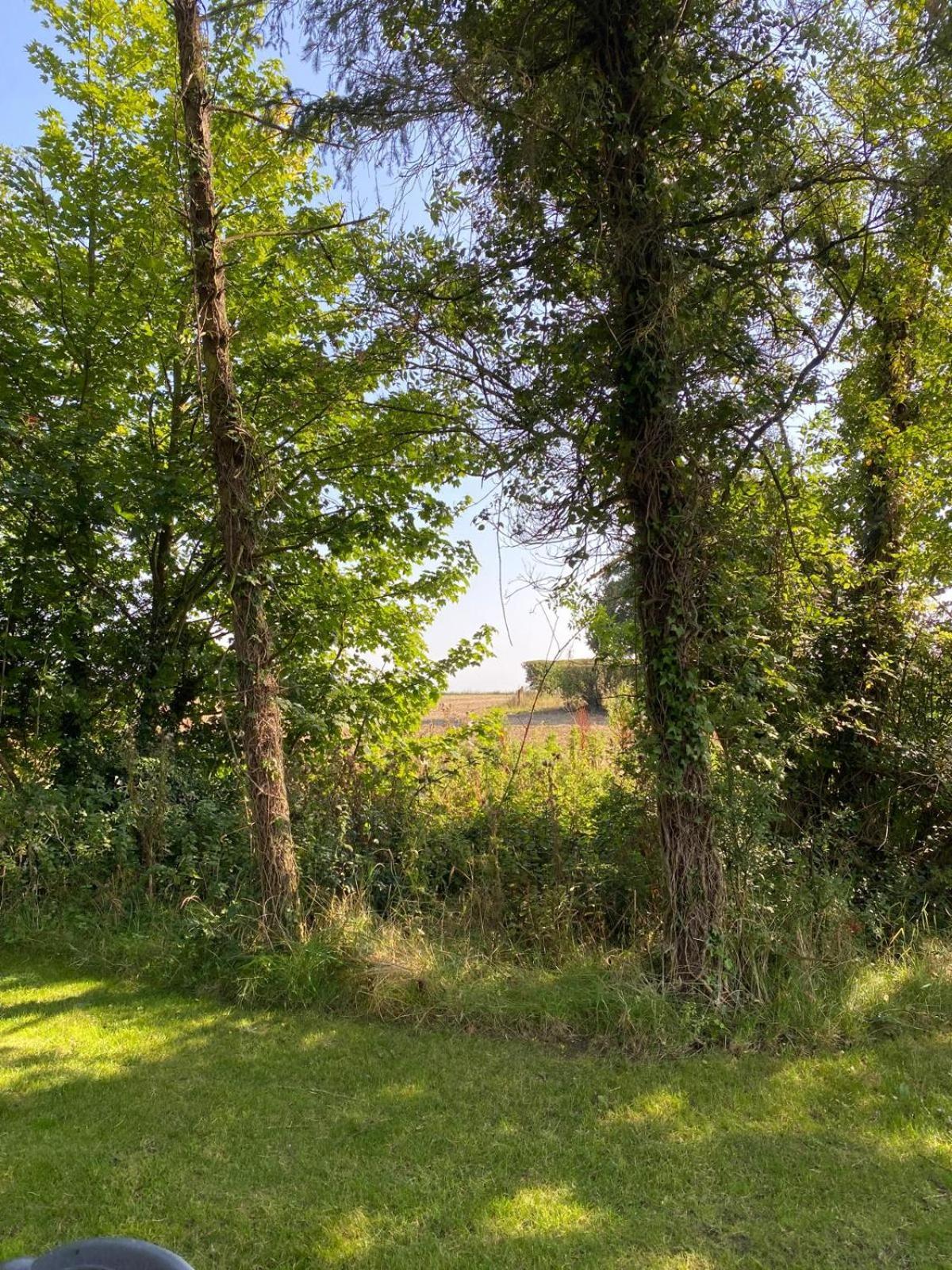 Kildare Countryside Pods Villa Bagian luar foto